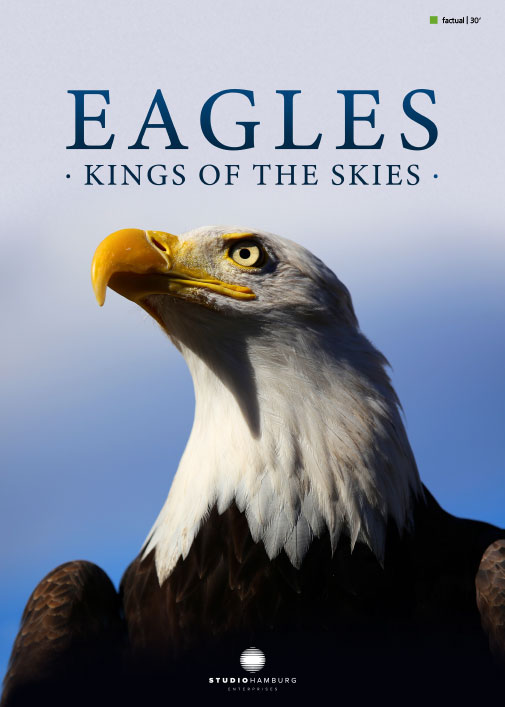 Eagles - Kings of the skies