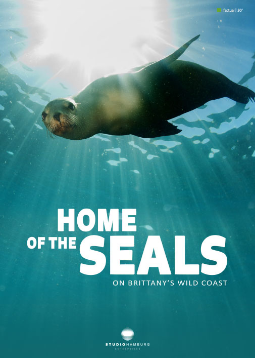 Home of the seals: On Brittanny's wild coast