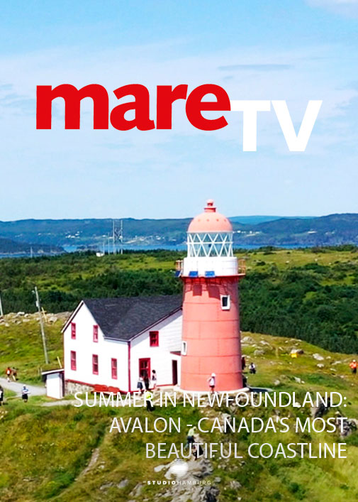Summer in Newfoundland: Avalon - Canada's most beautiful coastline (mareTV)