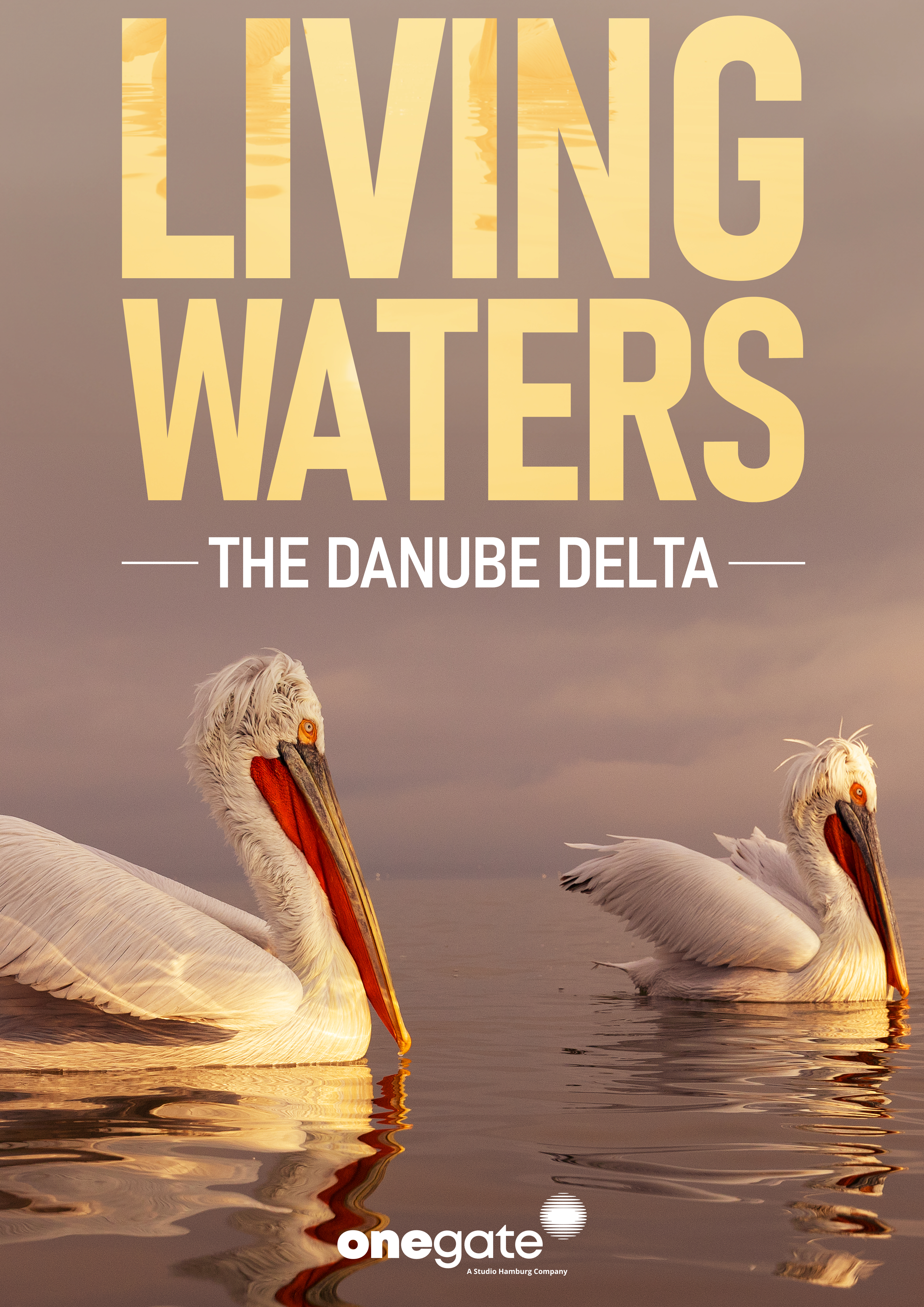 Living Waters: The Danube Delta